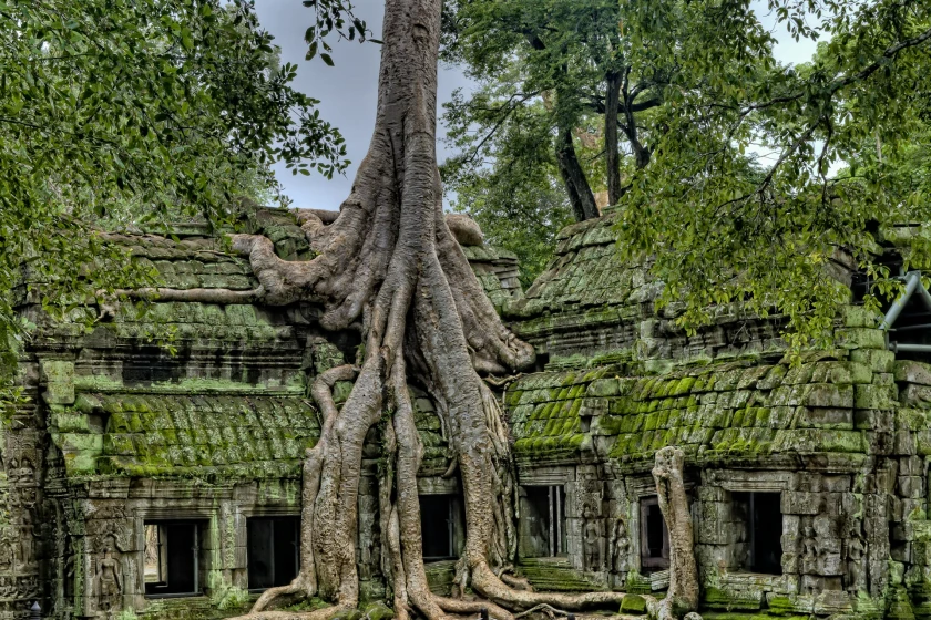 Colores de Camboya